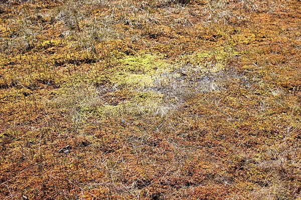 142-Национальныи парк Кемери